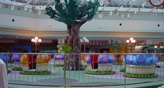 Crazy Cup Family Rides