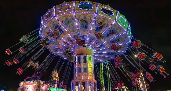 Flying Swinger Family Rides