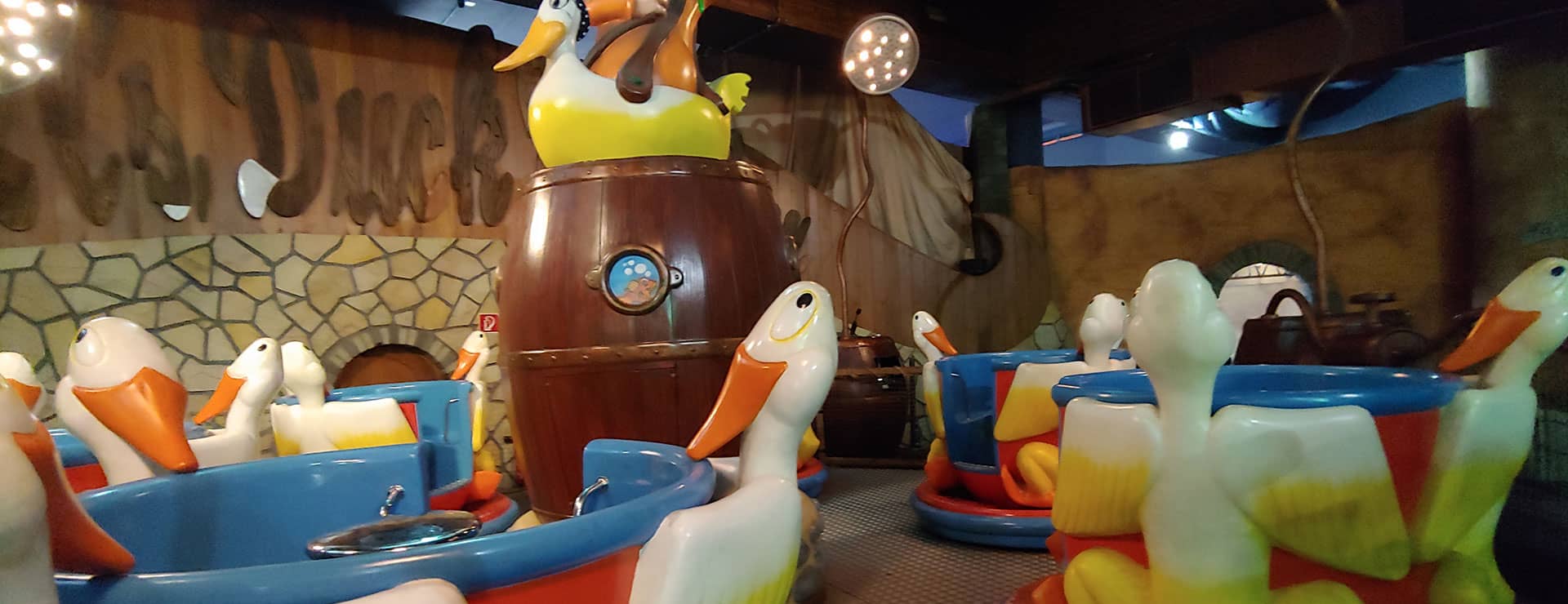 Crazy Cup Family Rides