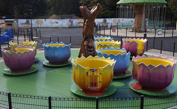 Crazy Cup Family Rides